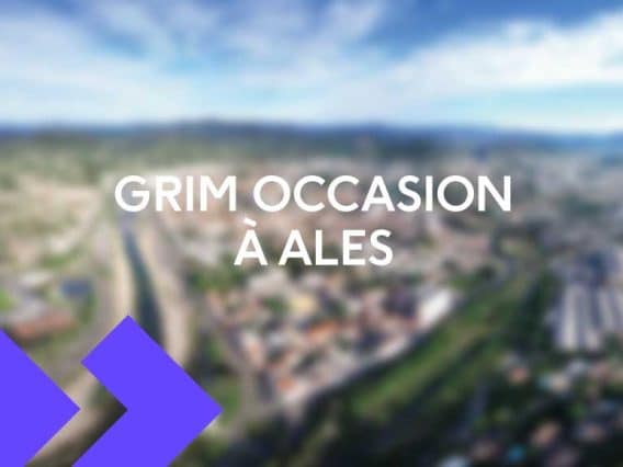 voiture occasion ales