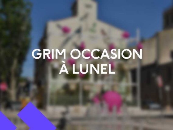 voiture occasion lunel