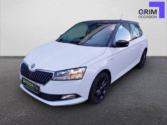 skoda fabia tsi ch dsg business
