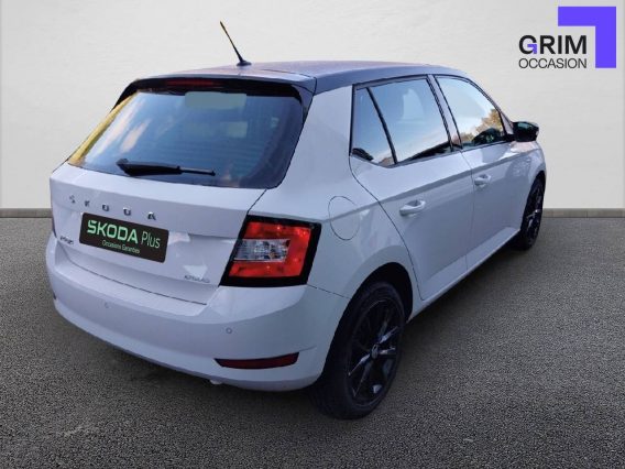 skoda fabia tsi ch dsg business